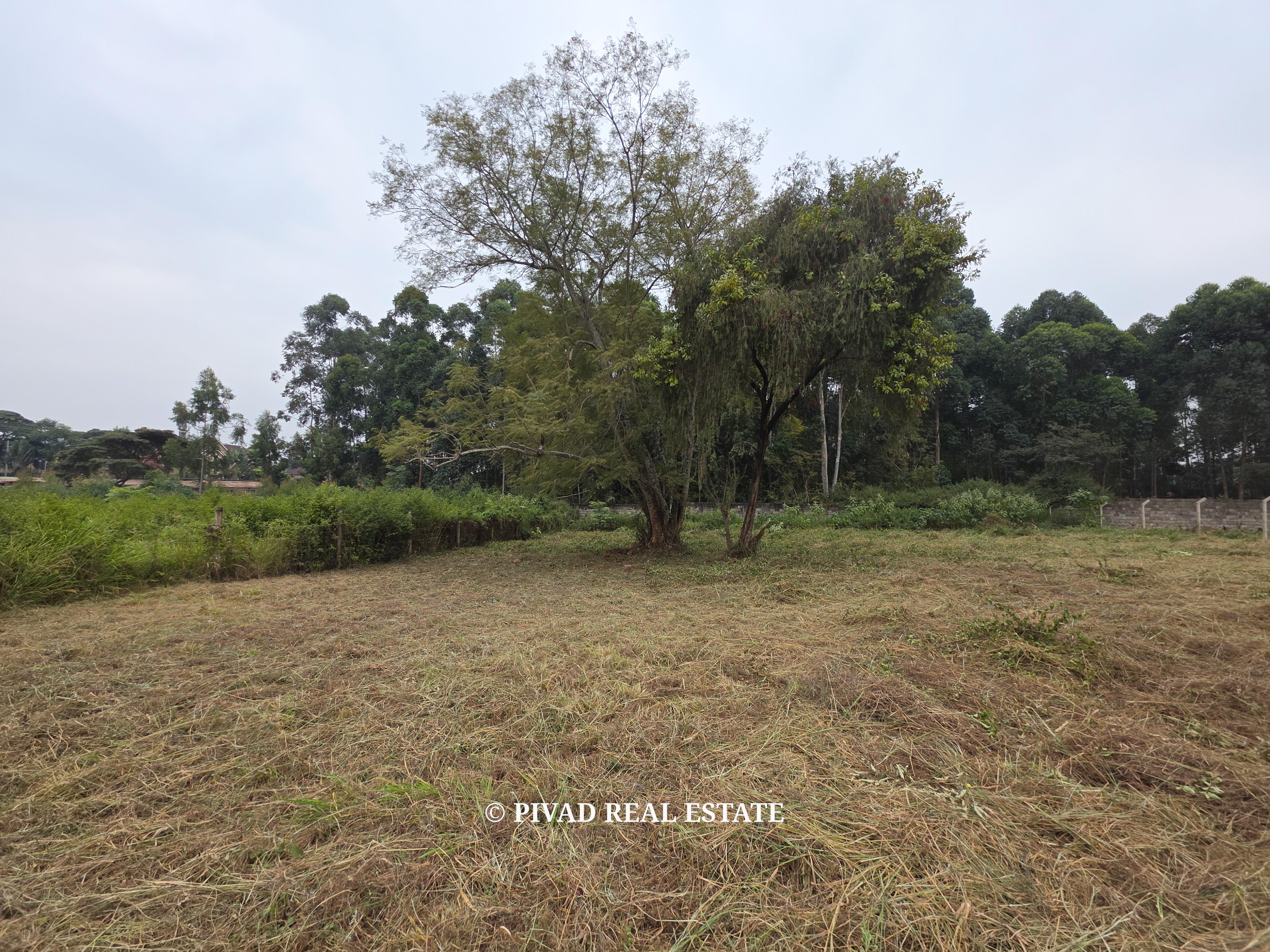 Half Acre Plot for Sale in Garden Court, Garden Estate