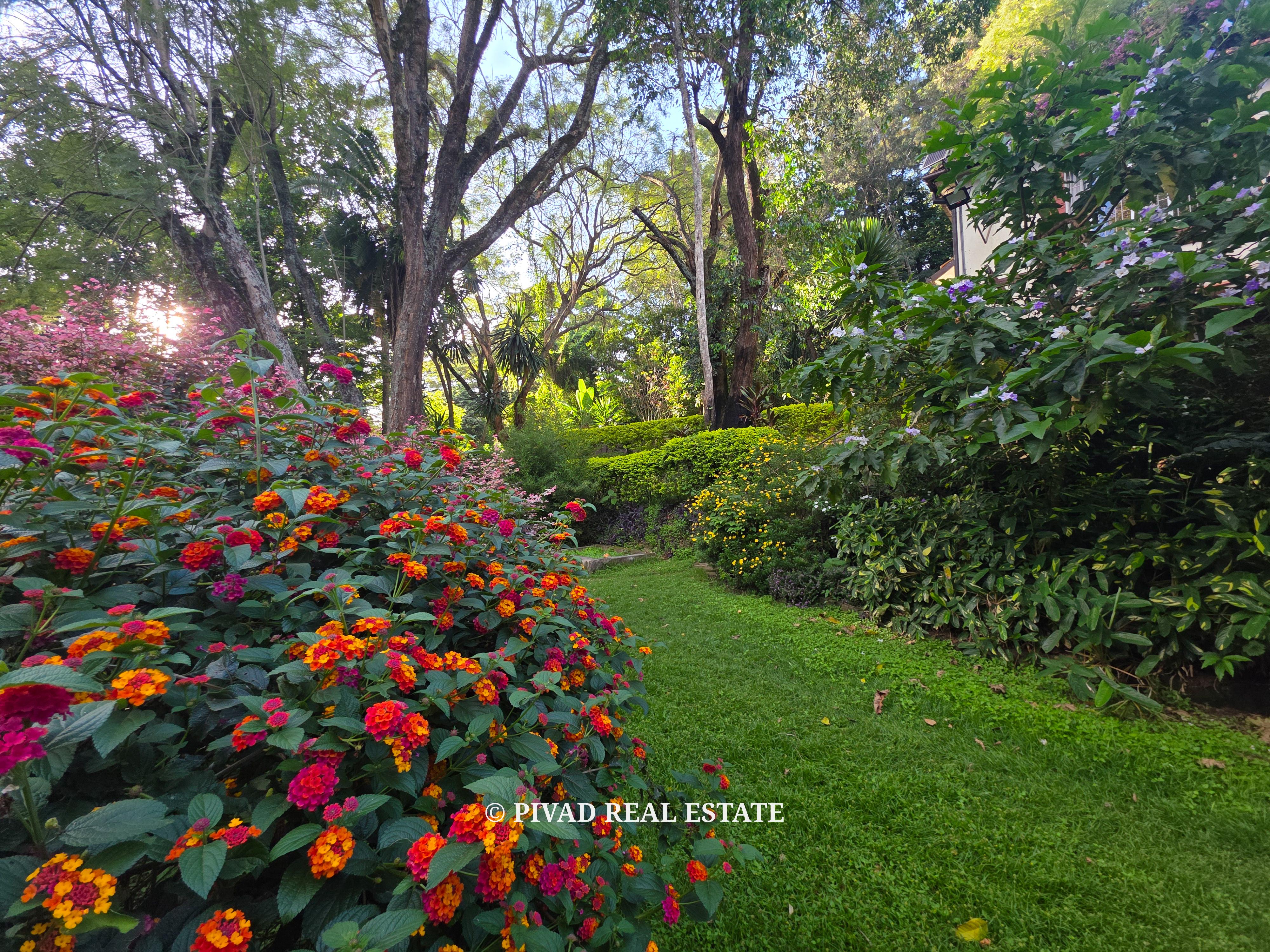 1 Acre Prime Property in Old Muthaiga