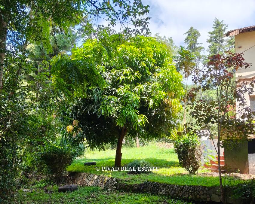 0.61 Acre Land Available For Sale in Old Kitisuru
