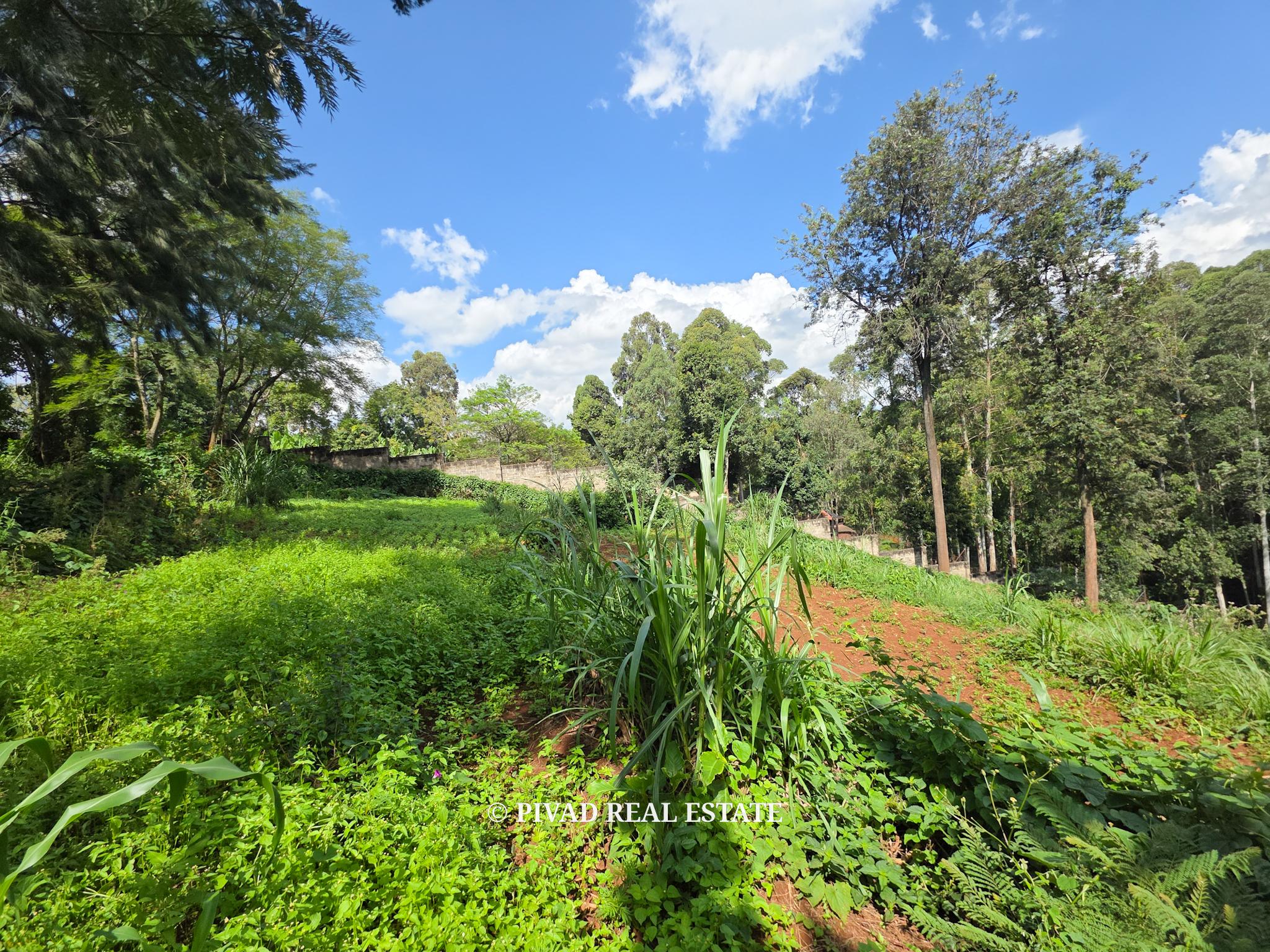 2.3 Acre Residential Land Available For Sale in Old Kitisuru, Along Ngecha road