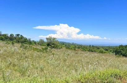 100-Acre land Available  available for Sale in Makuyu, Muranga County