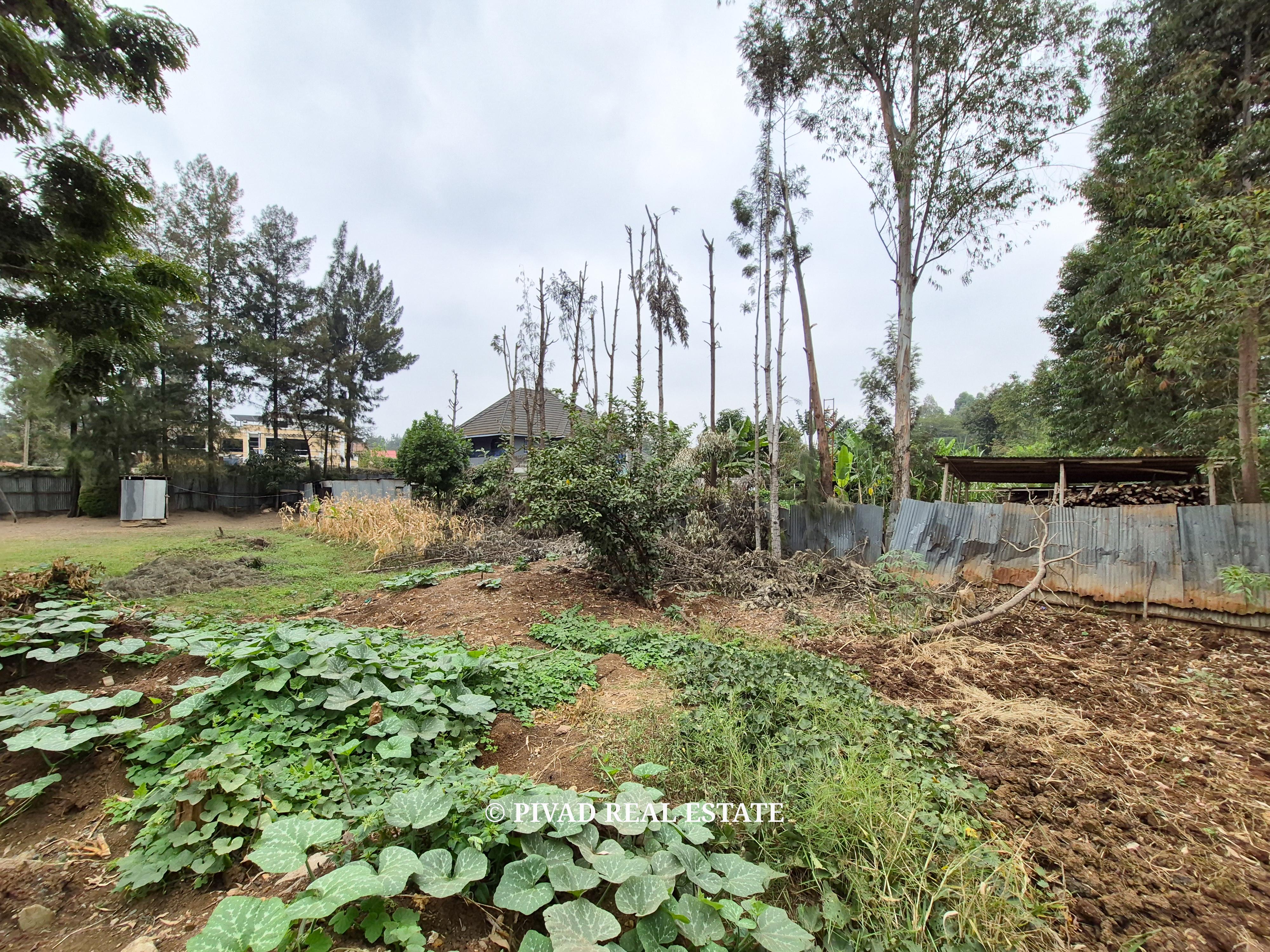 Quarter Acre Plot for Sale – Garden Estate