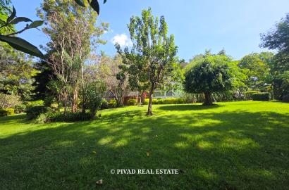 2.5 Acre Plot of Land For Sale in Ridgeways