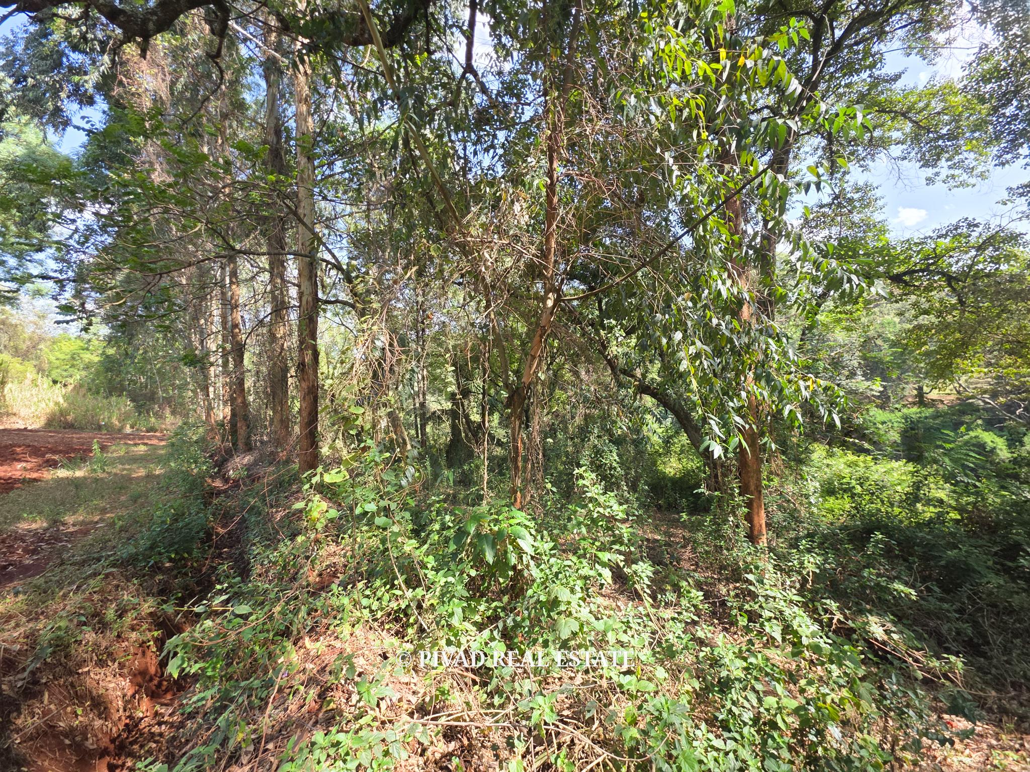 4.7 Acre Land For Sale in Old Kitisuru