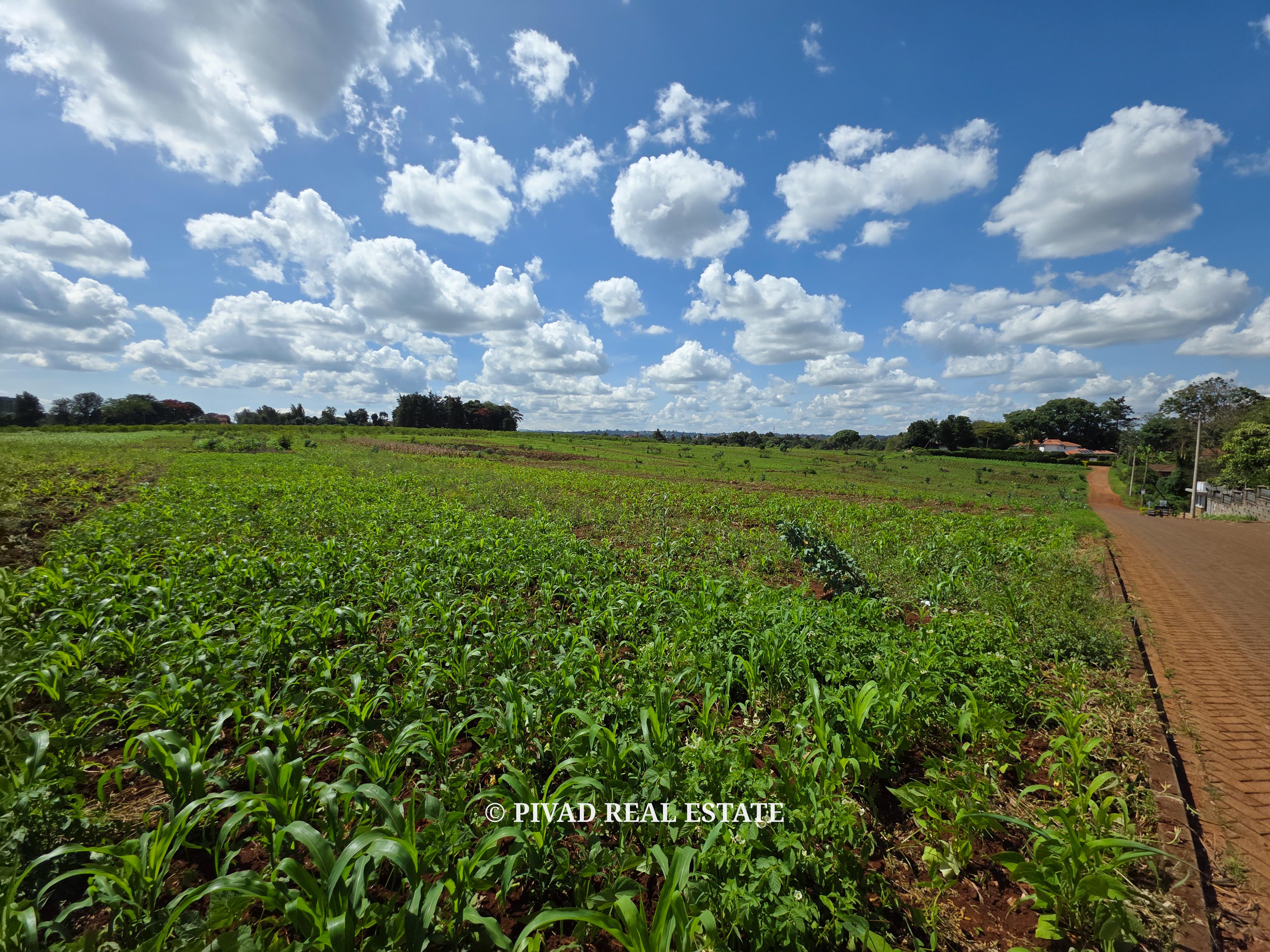 Prime Development of 10 Acres in New Kitisuru For Sale