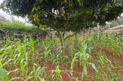 Prime Half-Acre Land for Sale in Runda Riviera
