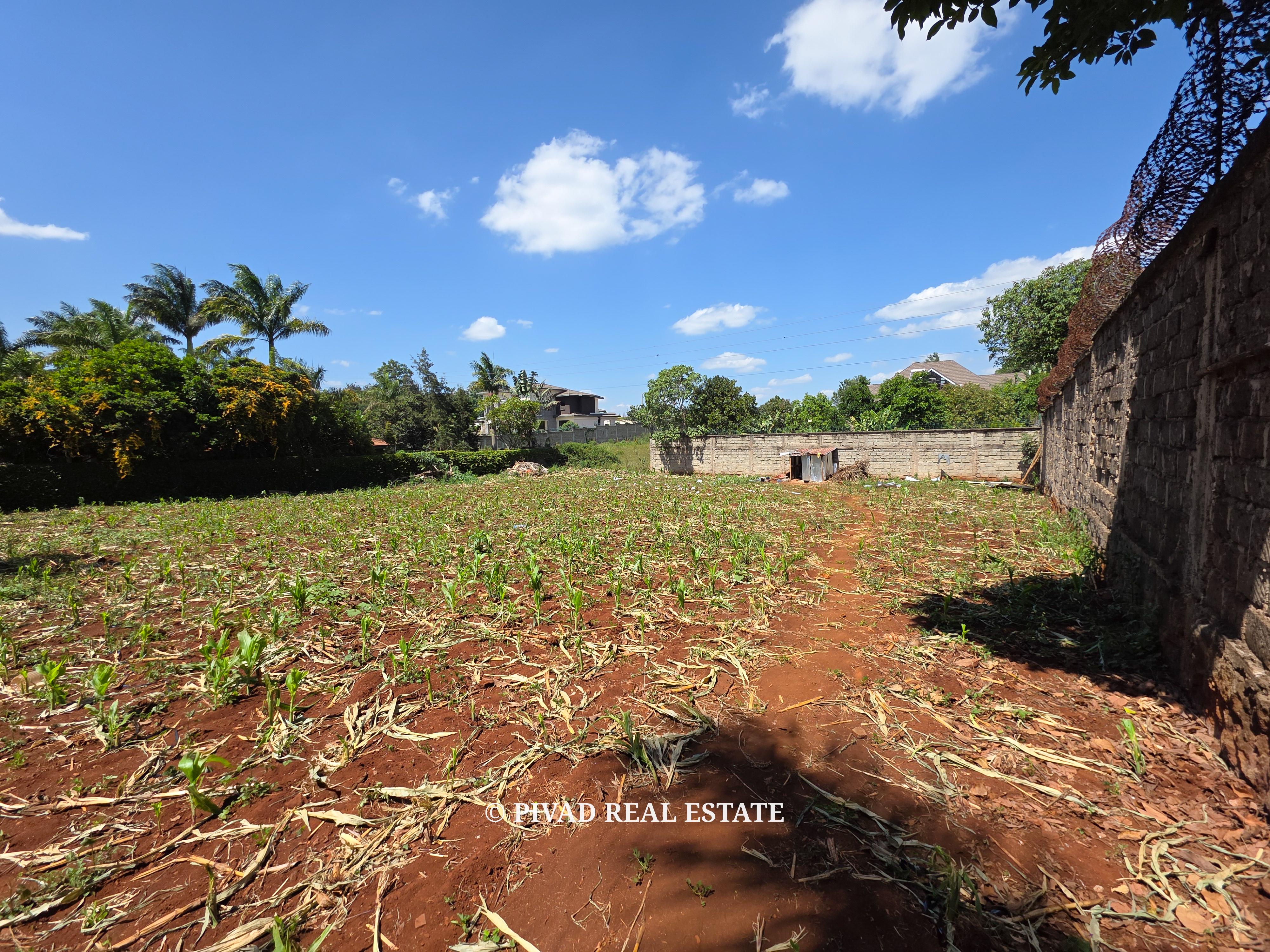 Half acre land available for Sale in Runda along Havana Road