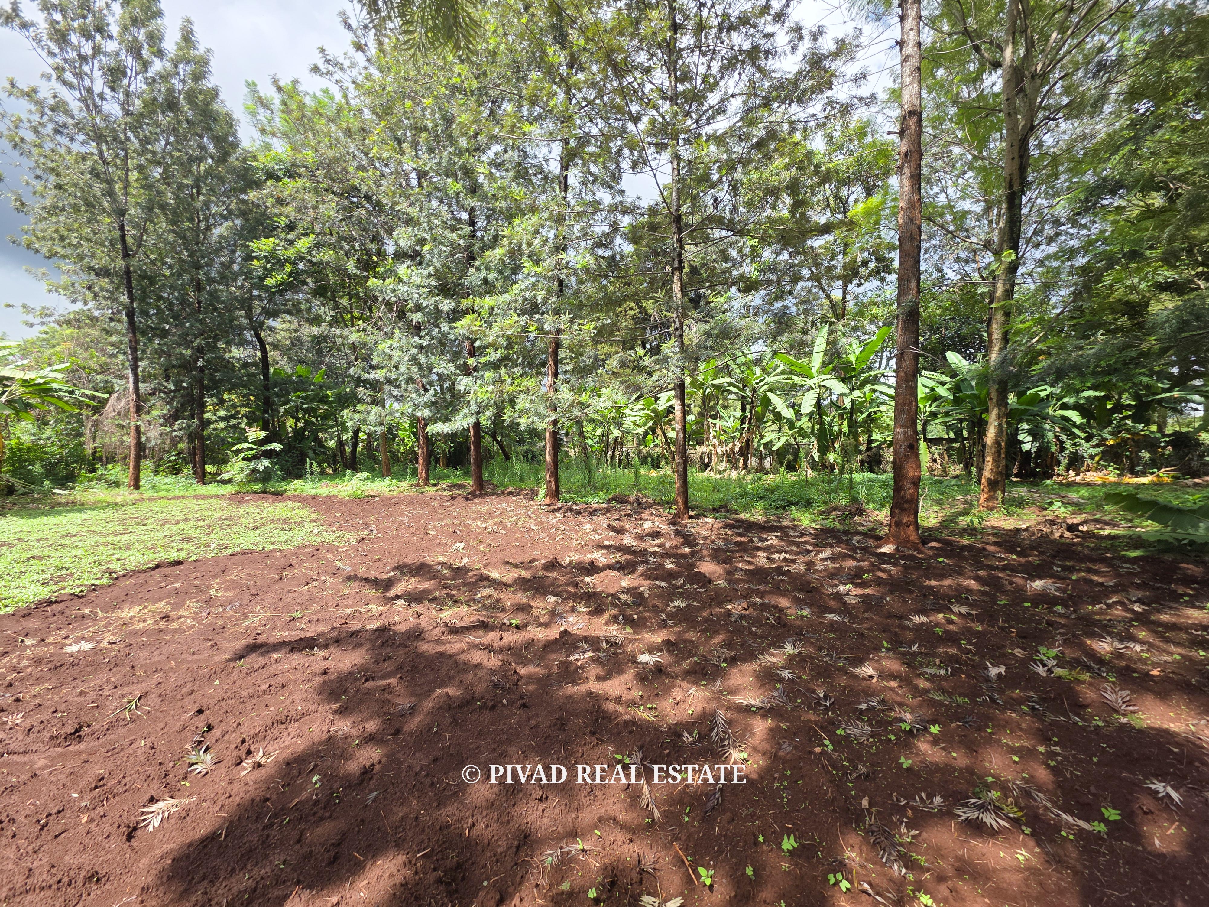 1.2 acre Land for Sale in Muthaiga